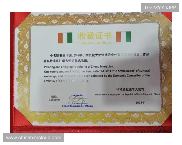 象牙海岸与中国的经济合作与文化交流新篇章探讨