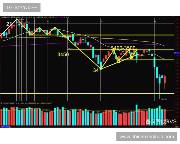 重磅专题：探讨北京篮球队包夹战术的创新与影响分析