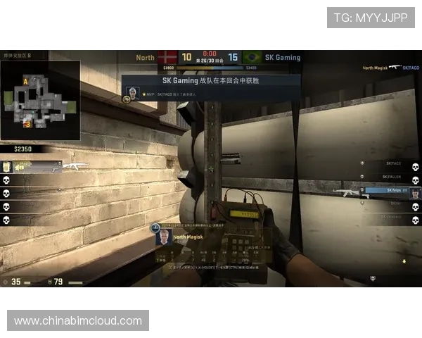 CSGO战术解析：深入探讨WE战队的游戏节奏与策略运用