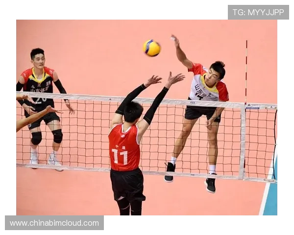 广州排球队在排球意识排行榜中荣获第三名展现出强大实力与团队合作精神